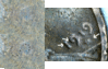 1919-s-2.gif