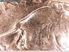 1996 P Dime eye 3.jpg