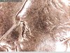 1996 P Dime eye 6.jpg