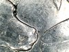 L 339 2004 D RARE wisconsin ddr (1).jpg