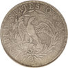 draped bust half reverse.jpg