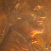 ACG 1917- close.jpg