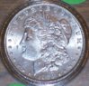 1885 Morgan.jpg