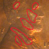 ACG 1917- close m.jpg