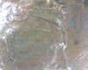 Image20782.jpg