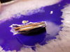DSCN1467.JPG