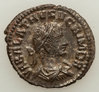 Vabalthus.jpg