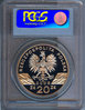2008 20ZL PERIGON FALCON - REV.jpg