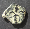 Aretas barbaricR.jpg