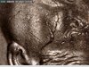 2001 P Dime scarface 7.jpg