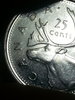 20150505_041326.jpg