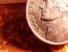 1999P DD1.jpg