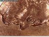1999 penny 5.jpg