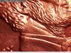 2008 Penny 5.jpg