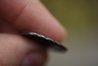 coin00000190.JPG