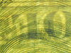 show image 10.JPG