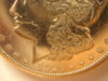 DSC04799.JPG