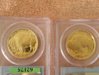 Gold Buffalo 004.jpg