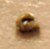 DSC05582.JPG