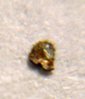 DSC05584.JPG