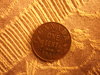 DSCF2147.JPG