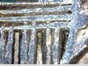 1832 Bust Half Dime lines shield rt upper.jpg