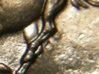 P8040025_01.JPG