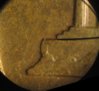 die blob 1960 d ddo s.jpg