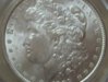 dollar obverse.jpg