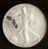 silvereagle16.jpg