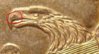 beak.JPG
