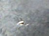 WIN_20150810_111918.JPG