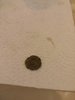 20150814_153749.jpg