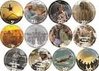 POGS for Article in BCC.jpg