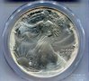 1995 SE PCGS Obverse closeup.jpg