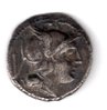 quinarius SR42001.jpg