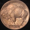 1915or.jpg