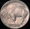 1915r.jpg