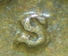 SS851036-1.JPG