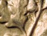 1988PDimeAcornRev2.JPG