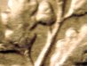 1988PNormaldimeRev2.JPG
