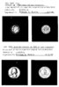 ANACS 1.JPG