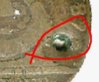 Holled%20fugio%20cent.jpg