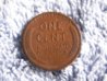 PICT0002.JPG