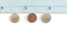 tinycoins.jpg