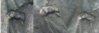 030D1CBT.jpg