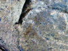 1986 Error D Penny 004.JPG