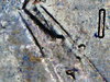 1986 Error D Penny 005.JPG