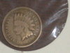 DSCI7757.JPG