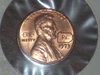 DSCI7768.JPG